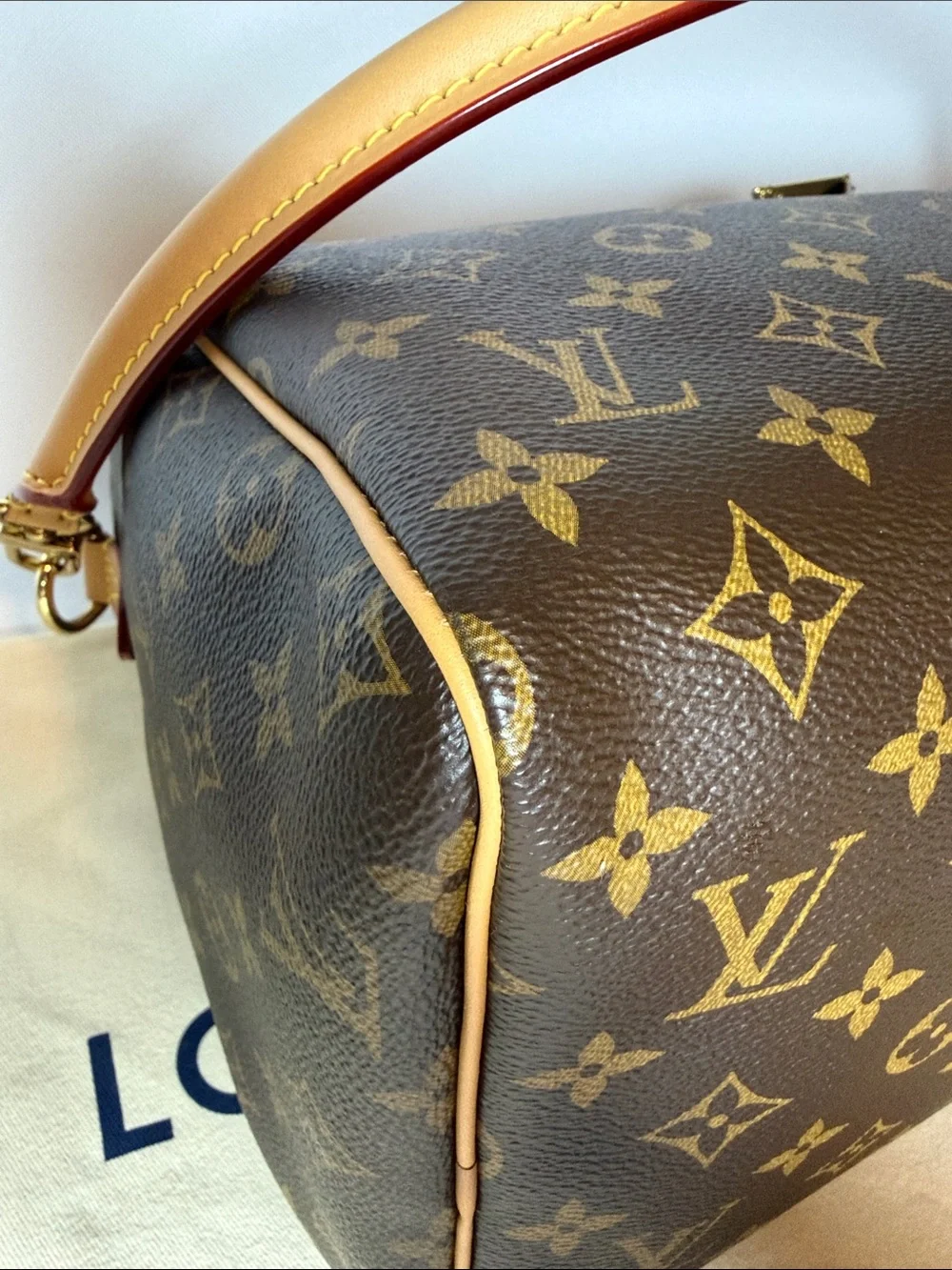 Louis Vuitton Speedy 30 Crafty